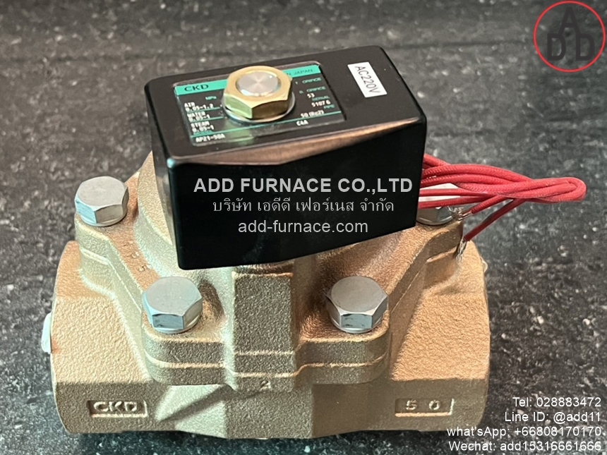CKD AP21-50A-C4A-AC220V (9) 